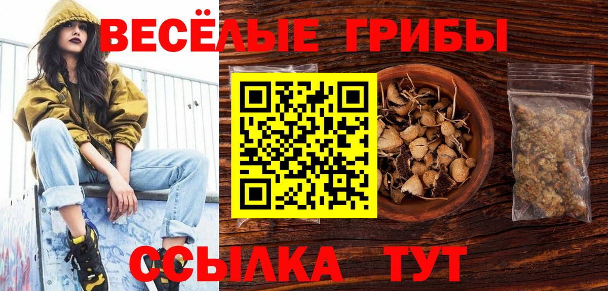 Псилоцибиновые грибы MAGIC MUSHROOMS Полевской