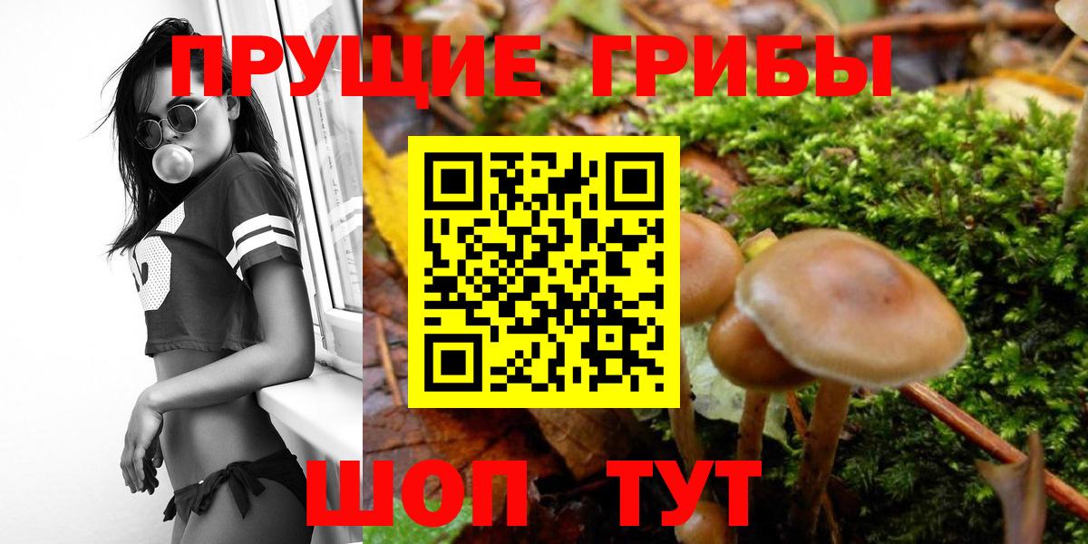 Полевской  Галлюциногенные грибы ЛСД  Вход с VPN 